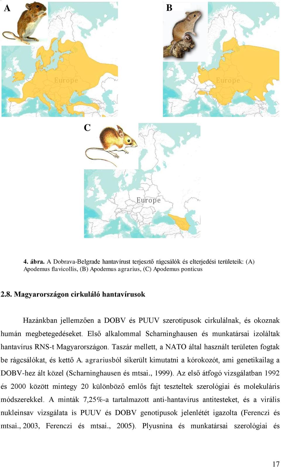 Első alkalommal Scharninghausen és munkatársai izoláltak hantavírus RNS-t Magyarországon. Taszár mellett, a NATO által használt területen fogtak be rágcsálókat, és kettő A.