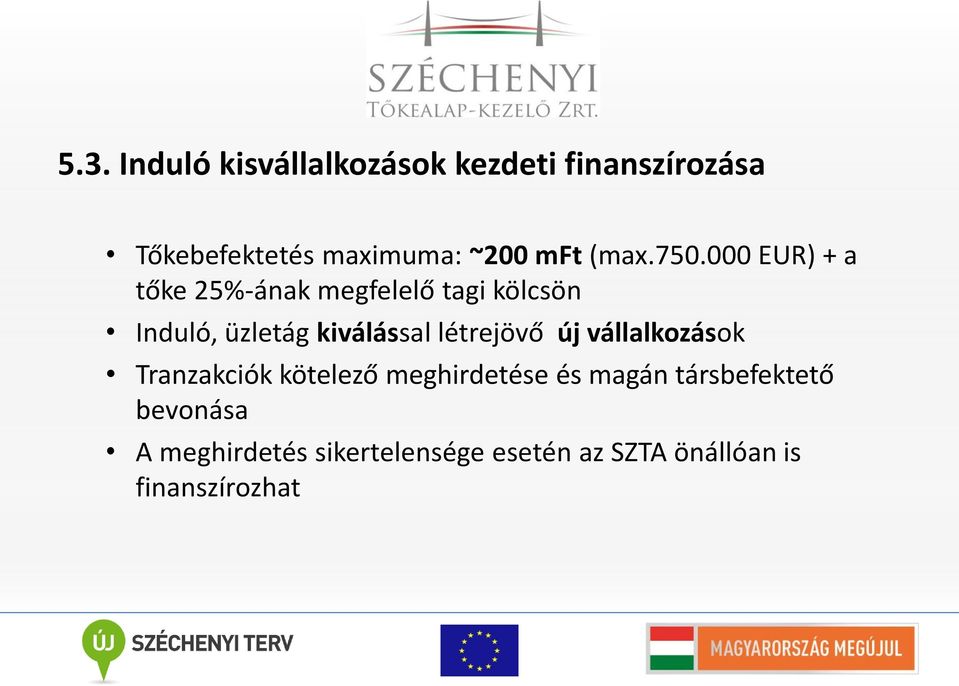 000 EUR) + a tőke 25%-ának megfelelő tagi kölcsön Induló, üzletág kiválással