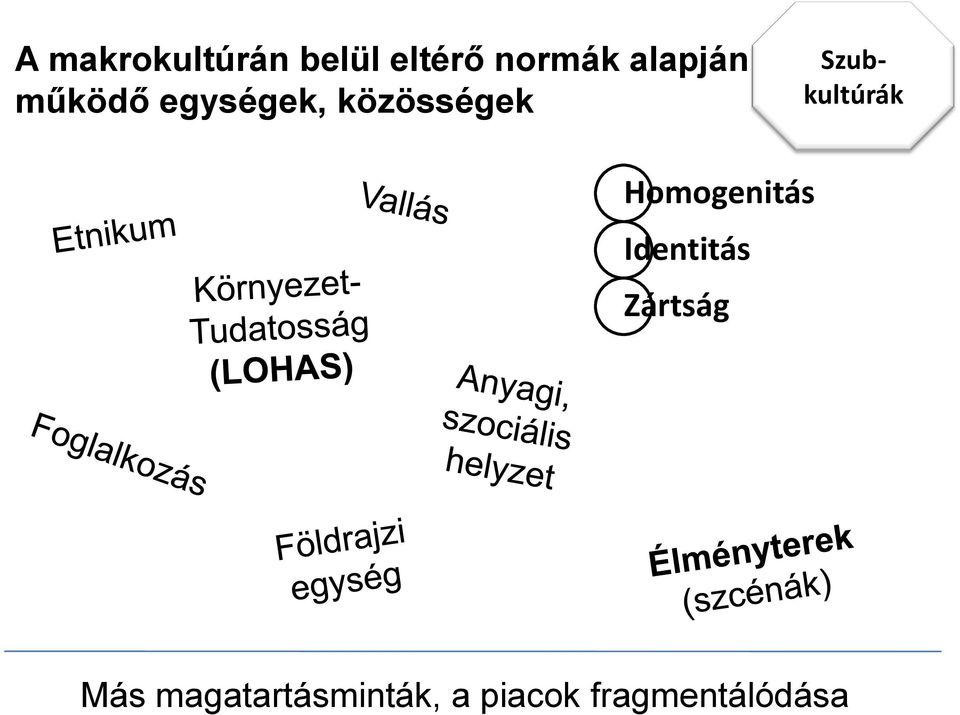 Szubkultúrák Homogenitás Identitás