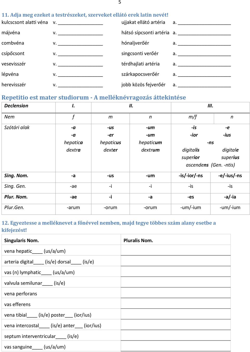 Repetitio est mater studiorum - A melléknévragozás áttekintése Declension I. II. III.