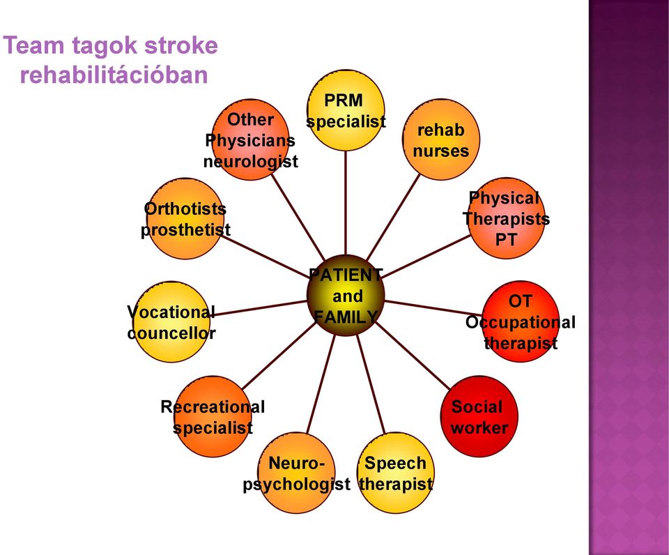 Therapists PT Vocational councellor PATIENT and FAMILY OT