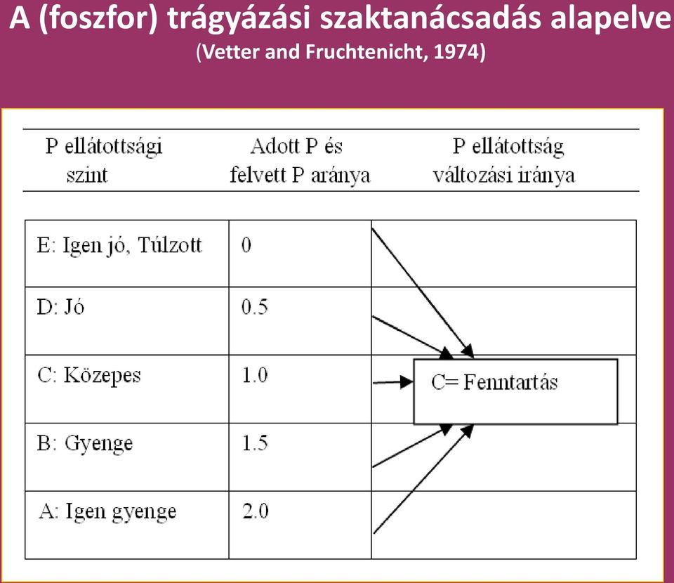 szaktanácsadás