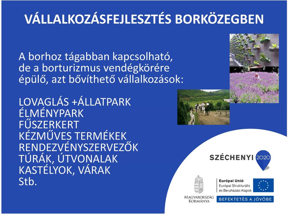 bővíthető vállalkozások: LOVAGLÁS +ÁLLATPARK ÉLMÉNYPARK