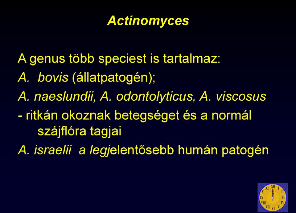 odontolyticus, A.