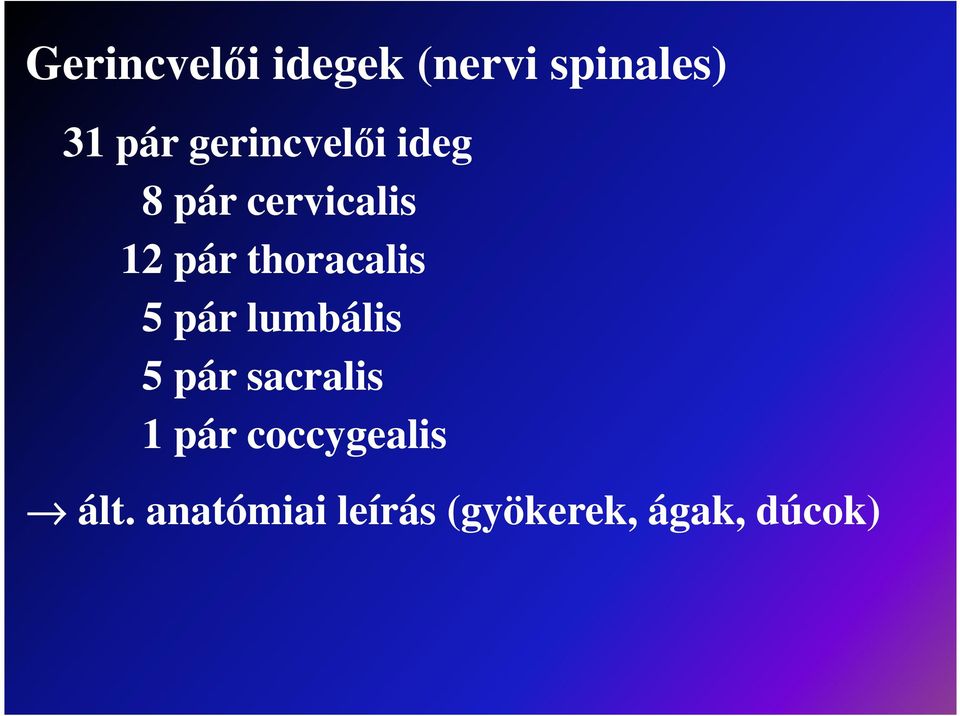 thoracalis 5 pár lumbális 5 pár sacralis 1 pár