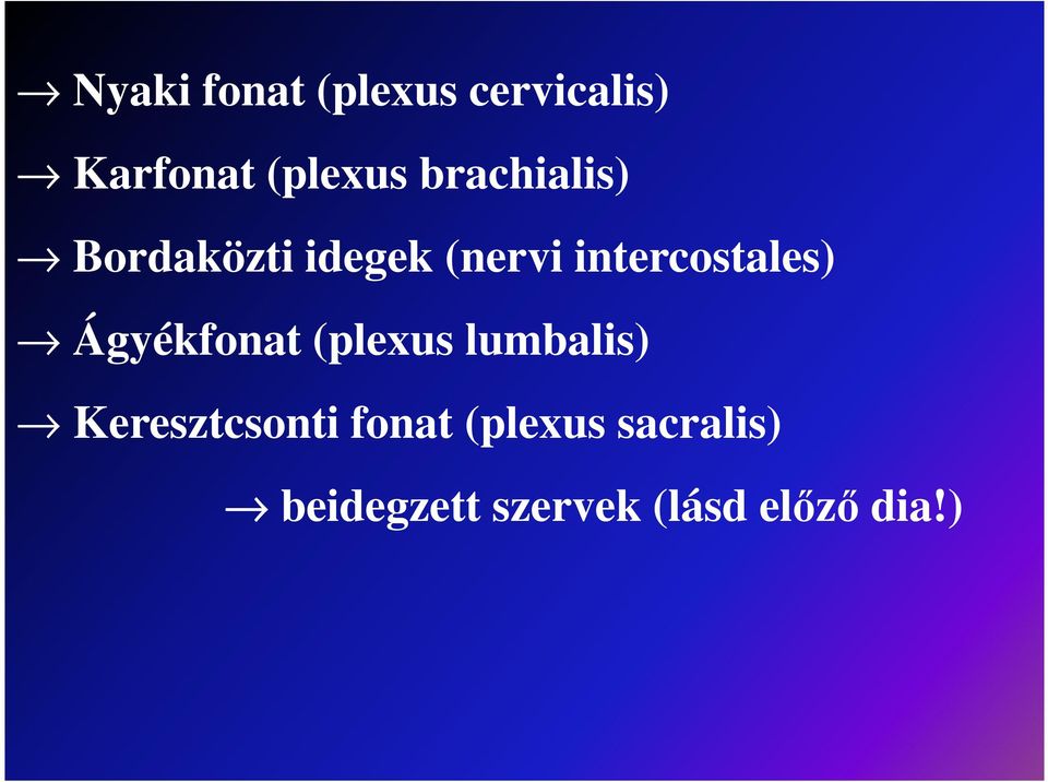 intercostales) Ágyékfonat (plexus lumbalis)