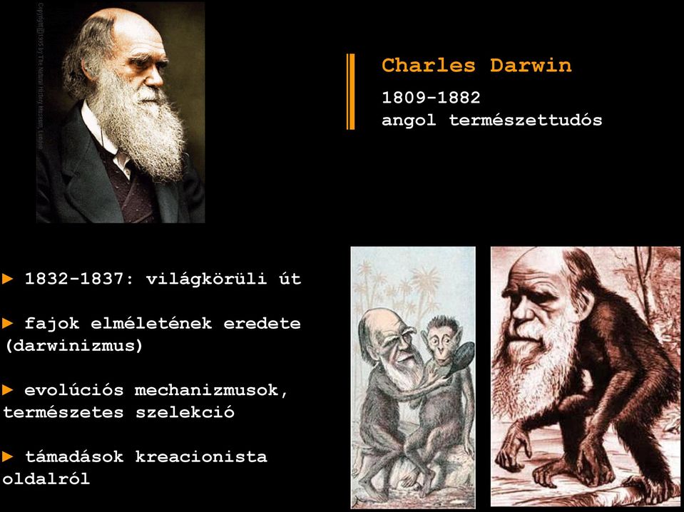 eredete (darwinizmus) evolúciós mechanizmusok,