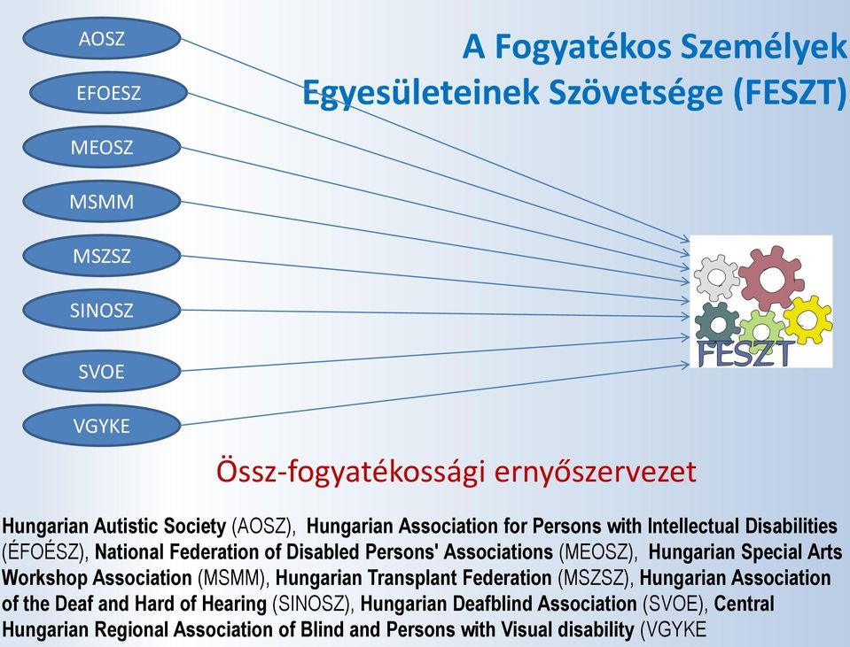 Associations (MEOSZ), Hungarian Special Arts Workshop Association (MSMM), Hungarian Transplant Federation (MSZSZ), Hungarian Association of the Deaf