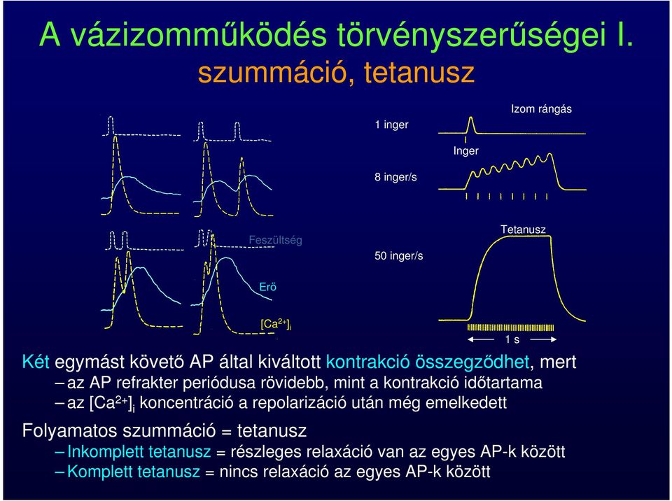 által kiváltott kontrakció összegződhet, mert az AP refrakter periódusa rövidebb, mint a kontrakció időtartama az [Ca 2+ ]