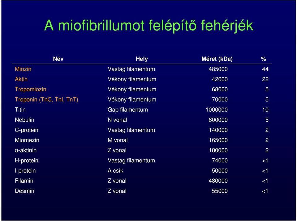 1000000 10 Nebulin N vonal 600000 5 C-protein Vastag filamentum 140000 2 Miomezin M vonal 165000 2 α-aktinin Z vonal