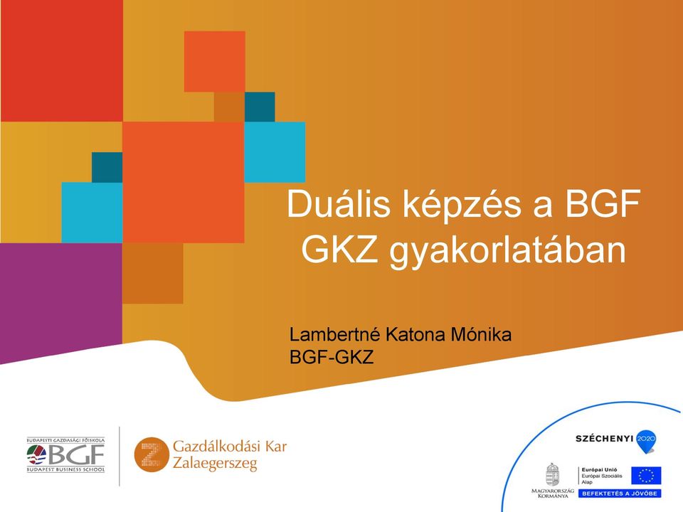 gyakorlatában