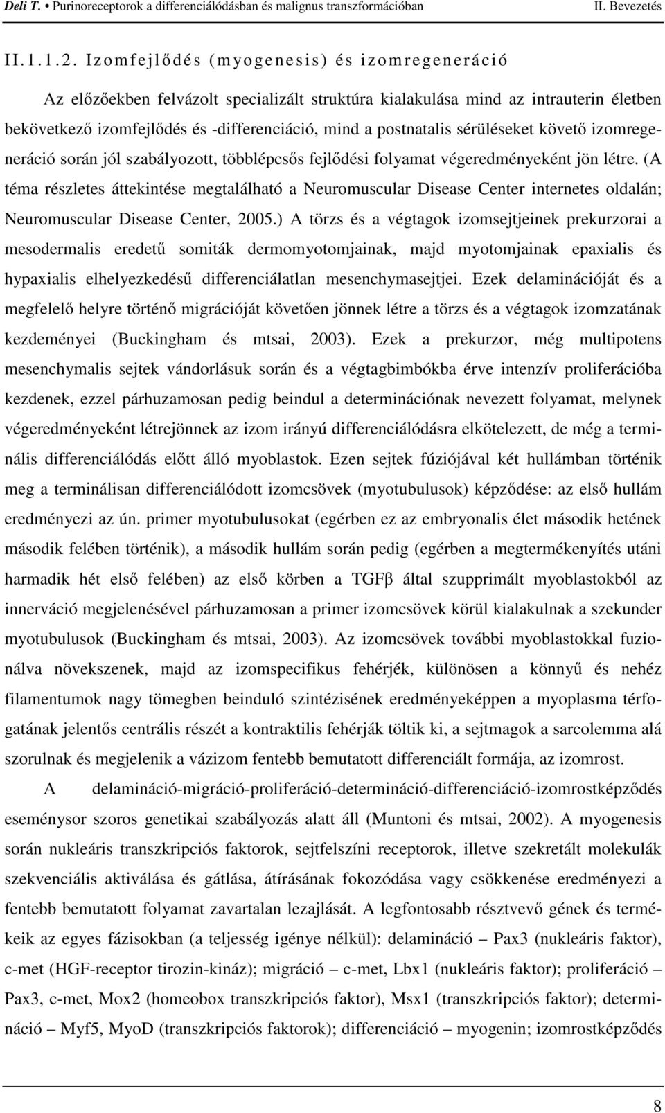 postnatalis sérüléseket követı izomregeneráció során jól szabályozott, többlépcsıs fejlıdési folyamat végeredményeként jön létre.