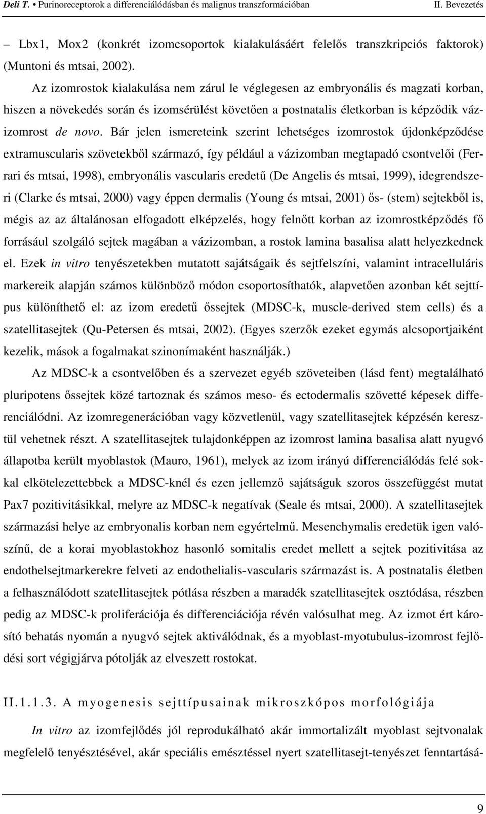 Bár jelen ismereteink szerint lehetséges izomrostok újdonképzıdése extramuscularis szövetekbıl származó, így például a vázizomban megtapadó csontvelıi (Ferrari és mtsai, 1998), embryonális vascularis