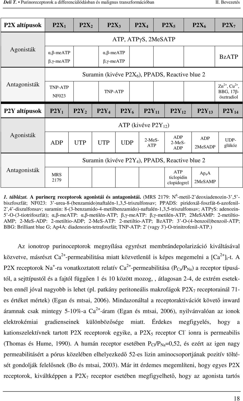 2-MeS- ADP ADP 2MeSADP UDPglükóz Antagonisták MRS 2179 Suramin (kivéve P2Y 4 ), PPADS, Reactive blue 2 ATP ticlopidin clopidogrel Ap 4 A 2MeSAMP 1. táblázat.