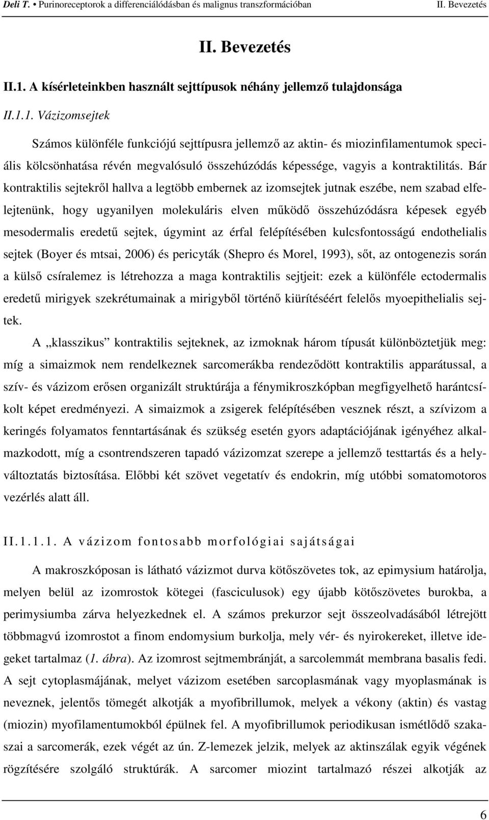 1. Vázizomsejtek Számos különféle funkciójú sejttípusra jellemzı az aktin- és miozinfilamentumok speciális kölcsönhatása révén megvalósuló összehúzódás képessége, vagyis a kontraktilitás.