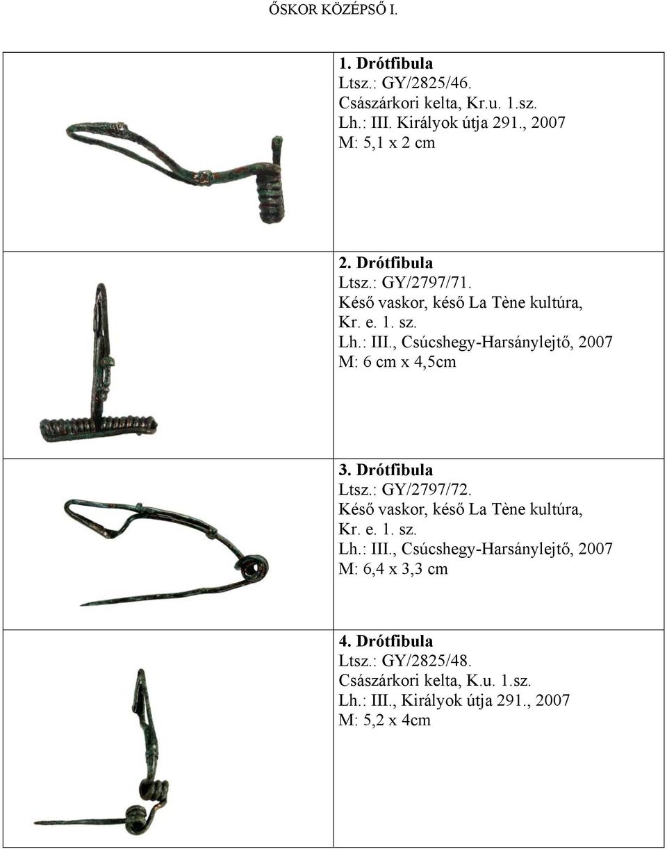 , Csúcshegy-Harsánylejtő, 2007 M: 6 cm x 4,5cm 3. Drótfibula Ltsz.: GY/2797/72. Késő vaskor, késő La Tène kultúra, Kr. e. 1. sz.