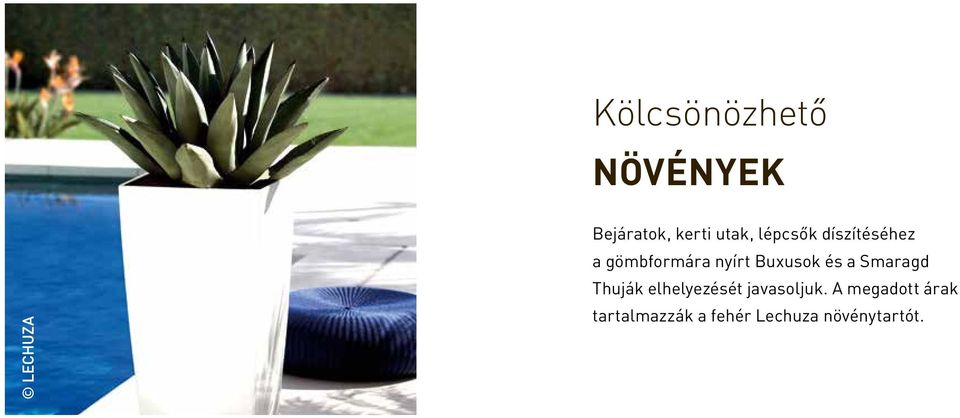 és a Smaragd Thuják elhelyezését javasoljuk.