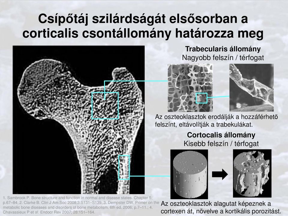 Bone structure and function in normal and disease states. Chapter 5; p.67 84; 2. Clarke B. Clin J Am Soc 2008;3:S131 S139; 3. Dempster DW.