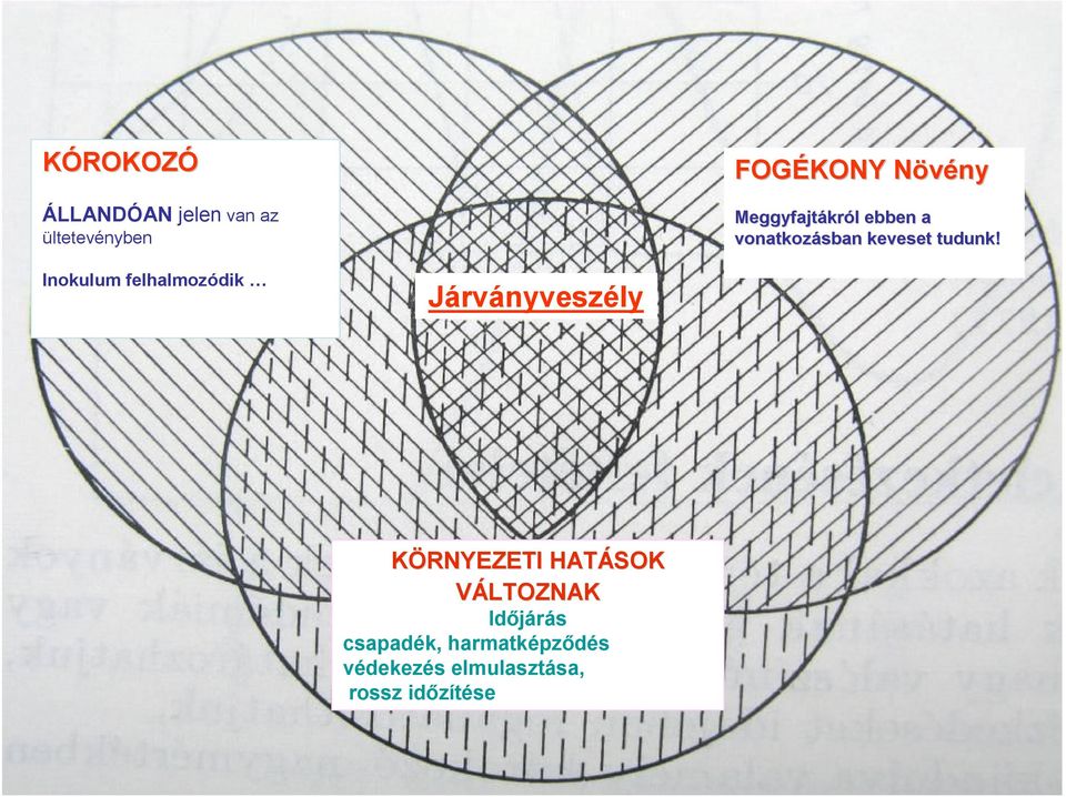 Inokulum felhalmozódik Járványveszély KÖRNYEZETI HATÁSOK