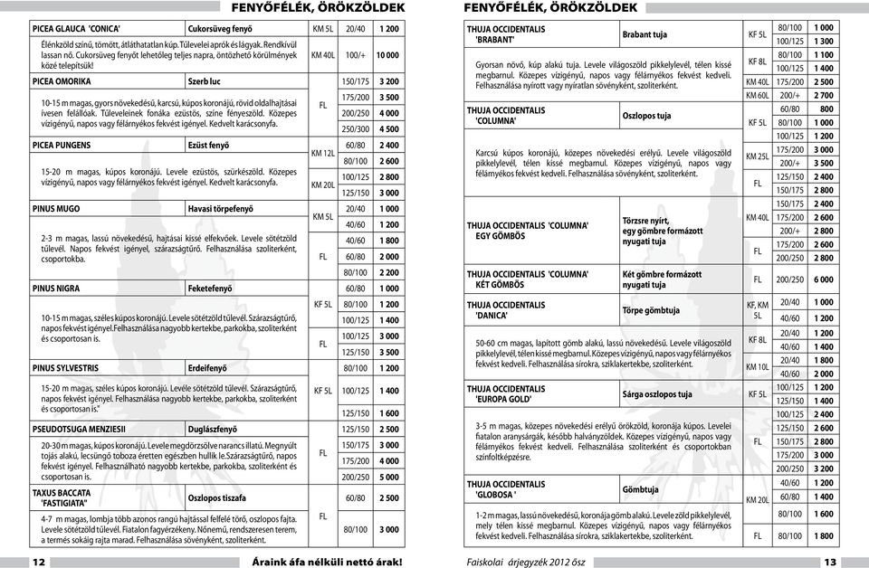 Tűleveleinek fonáka ezüstös, színe fényeszöld. Közepes vízigényű, napos vagy félárnyékos fekvést igényel. Kedvelt karácsonyfa. PICEA PUNGENS Ezüst fenyő 15-20 m magas, kúpos koronájú.