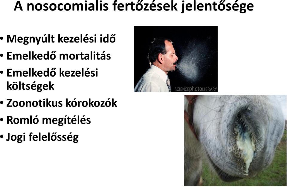 mortalitás Emelkedő kezelési költségek