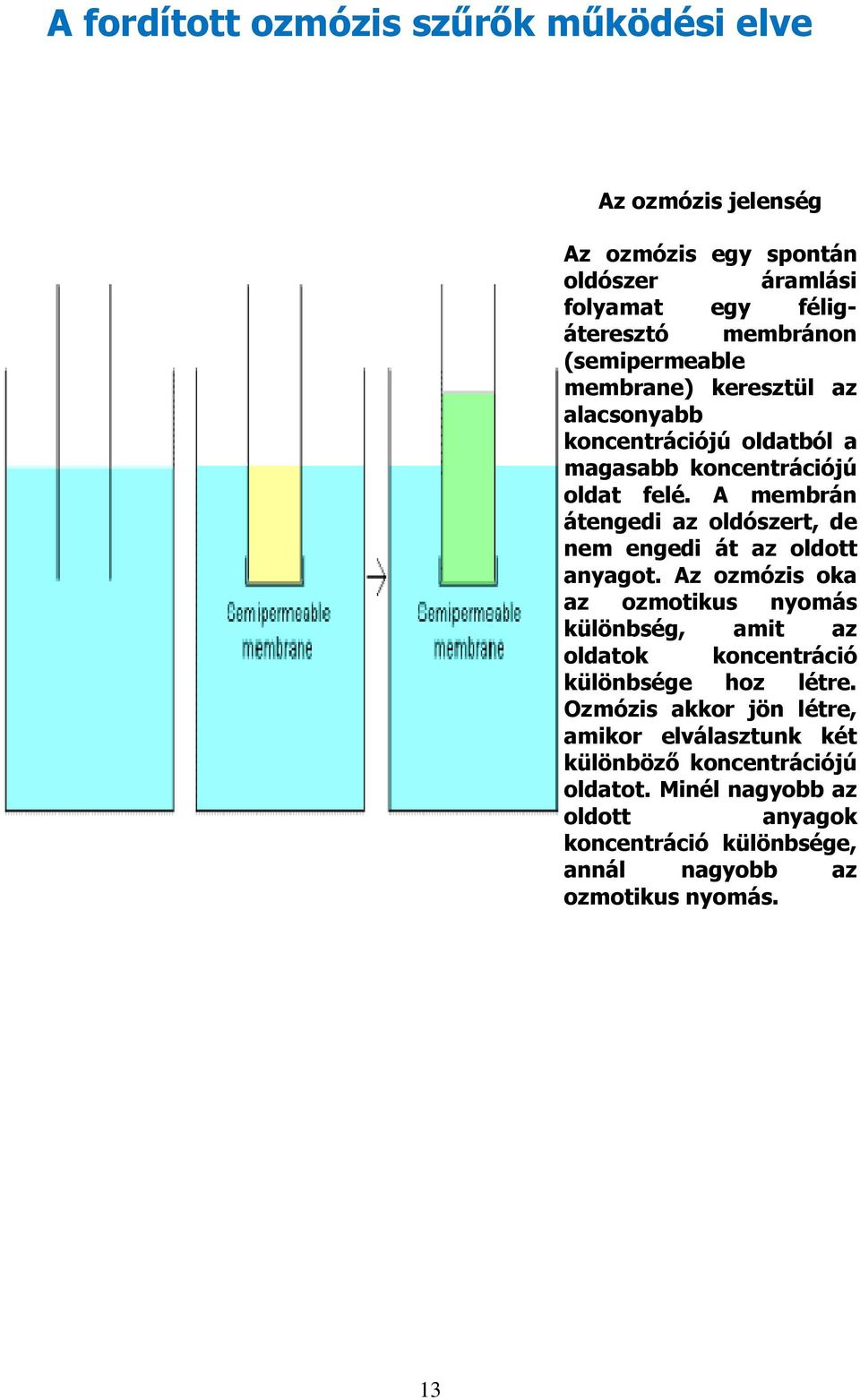 A membrán átengedi az oldószert, de nem engedi át az oldott anyagot.
