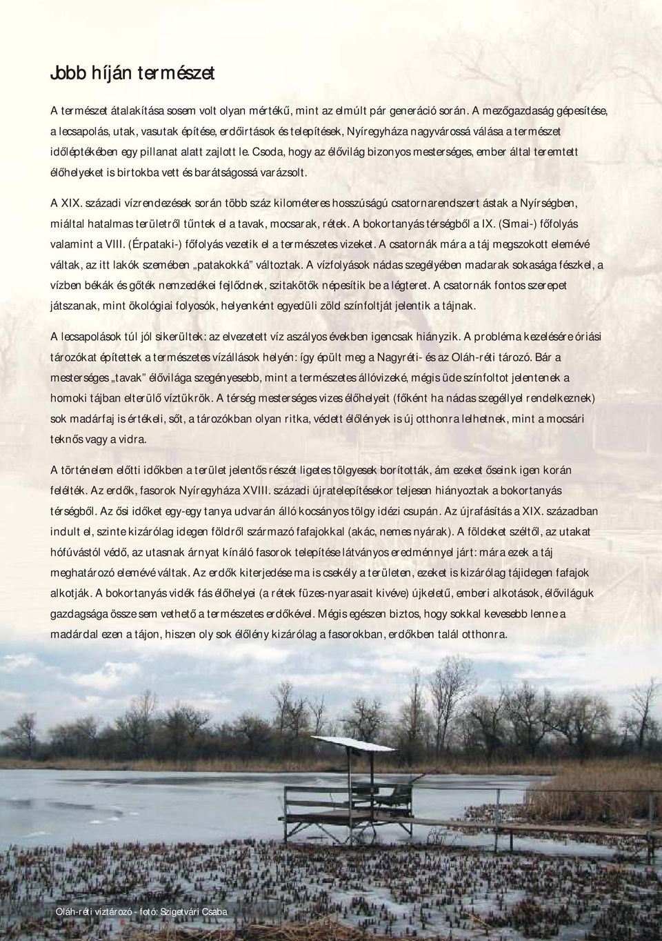 Csoda, hogy az élővilág bizonyos mesterséges, ember által teremtett élőhelyeket is birtokba vett és barátságossá varázsolt. A XIX.