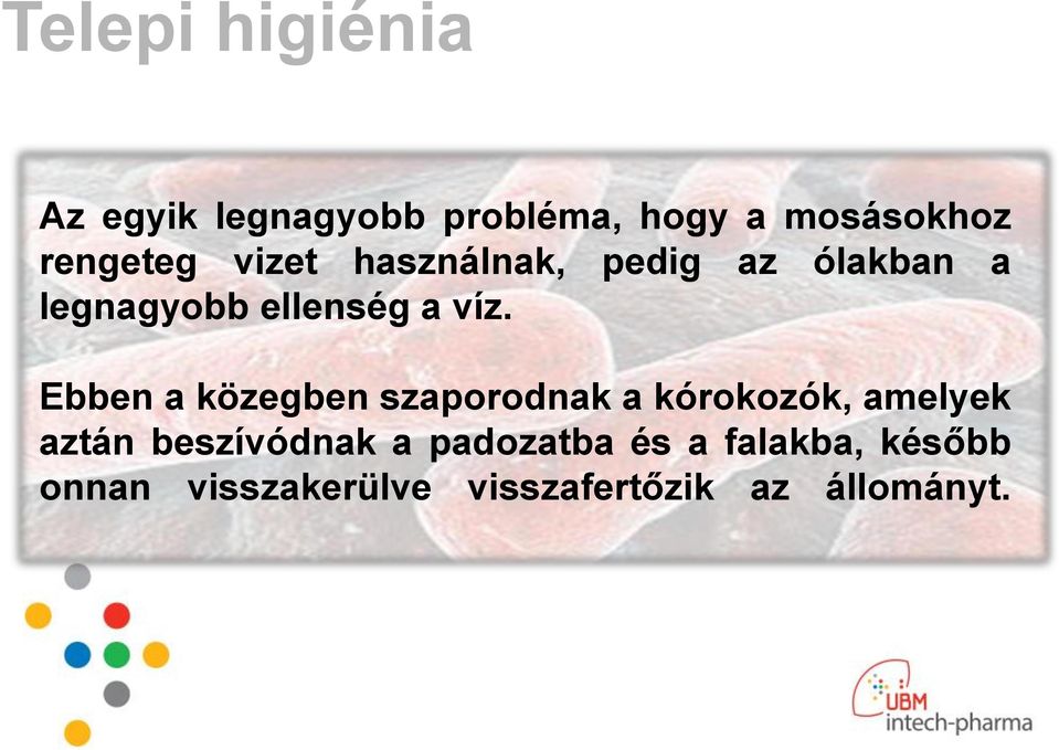 Ebben a közegben szaporodnak a kórokozók, amelyek aztán beszívódnak a