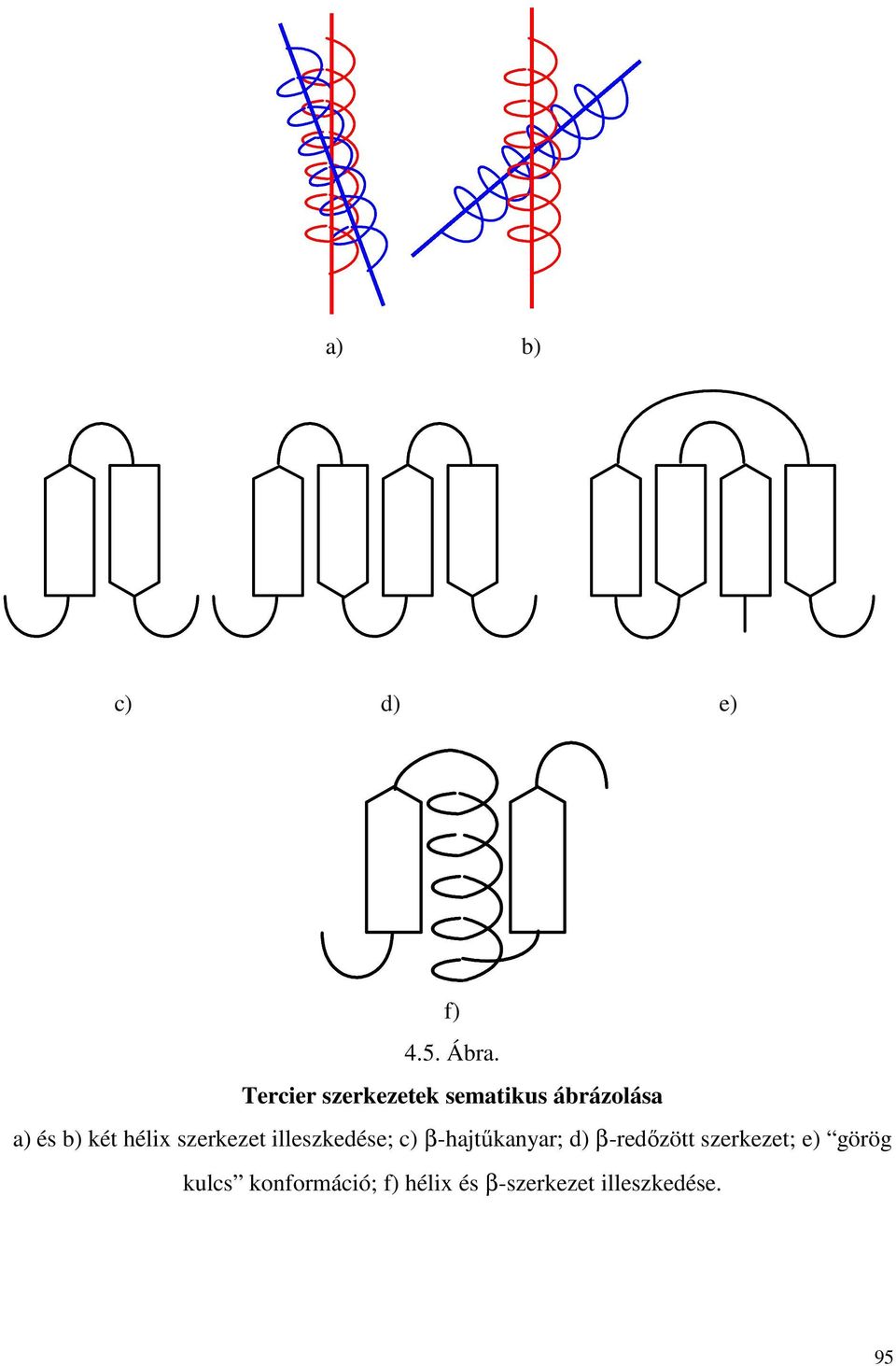 hélix szerkezet illeszkedése; c) β-hajtőkanyar; d)