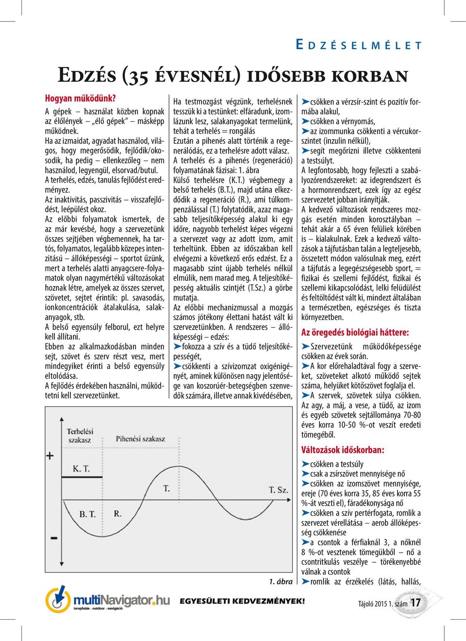 Az inaktivitás, passzivitás visszafejlődést, leépülést okoz.