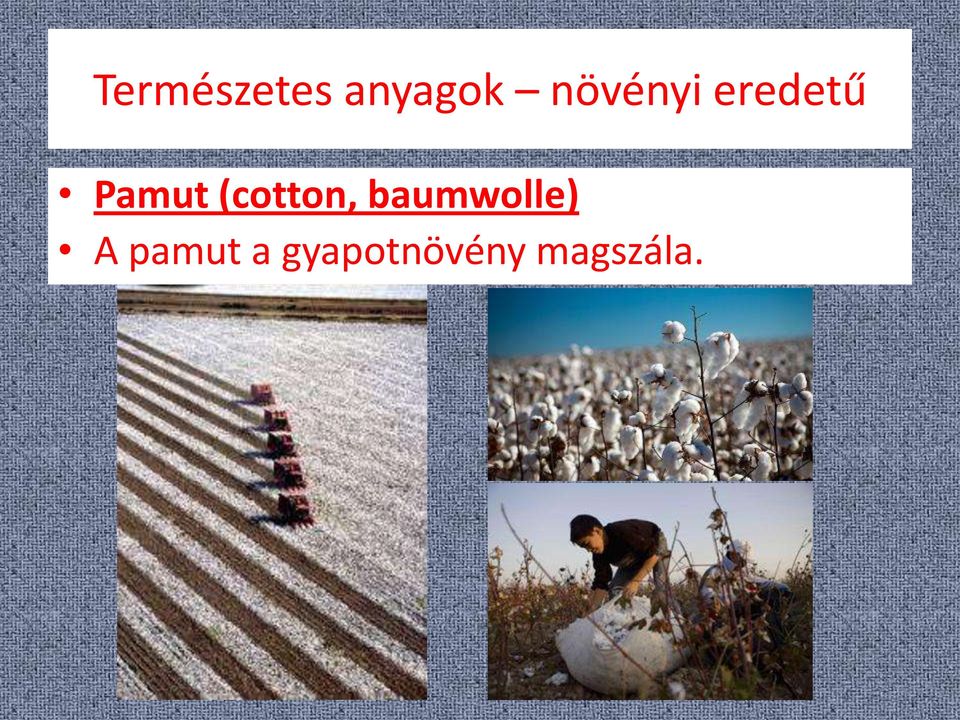 (cotton, baumwolle) A