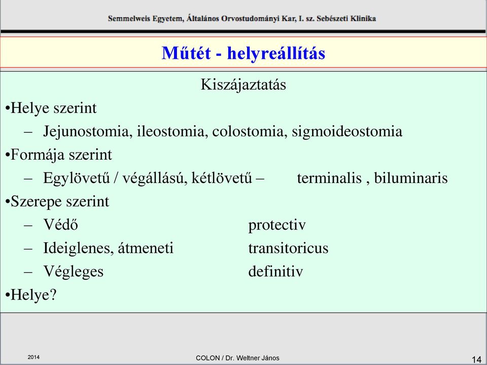 kétlövetű terminalis, biluminaris Szerepe szerint Védő protectiv