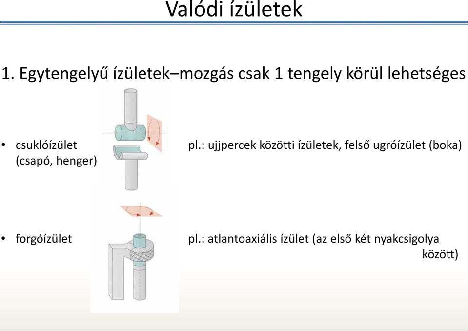 csuklóízület pl.