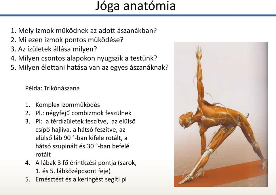 Yoga anatómia és élettan - PDF Free Download