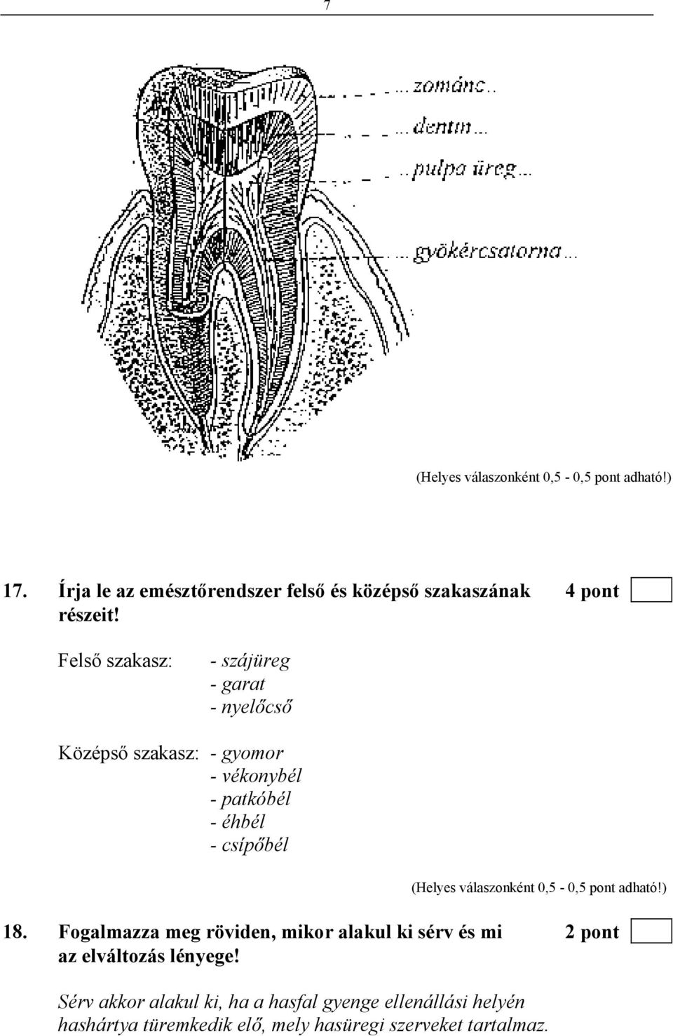 válaszonként 0,5-0,5 pont adható!) 18. Fogalmazza meg röviden, mikor alakul ki sérv és mi 2 pont az elváltozás lényege!