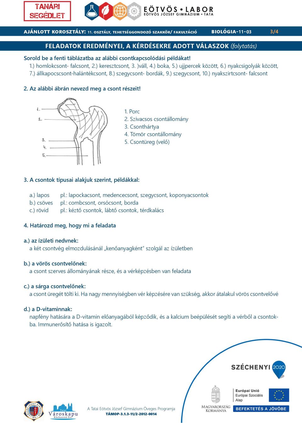 ) homlokcsont- falcsont, 2.) keresztcsont, 3. )váll, 4.) boka, 5.) ujjpercek között, 6.) nyakcsigolyák között, 7.) állkapocscsont-halántékcsont, 8.) szegycsont- bordák, 9.) szegycsont, 10.