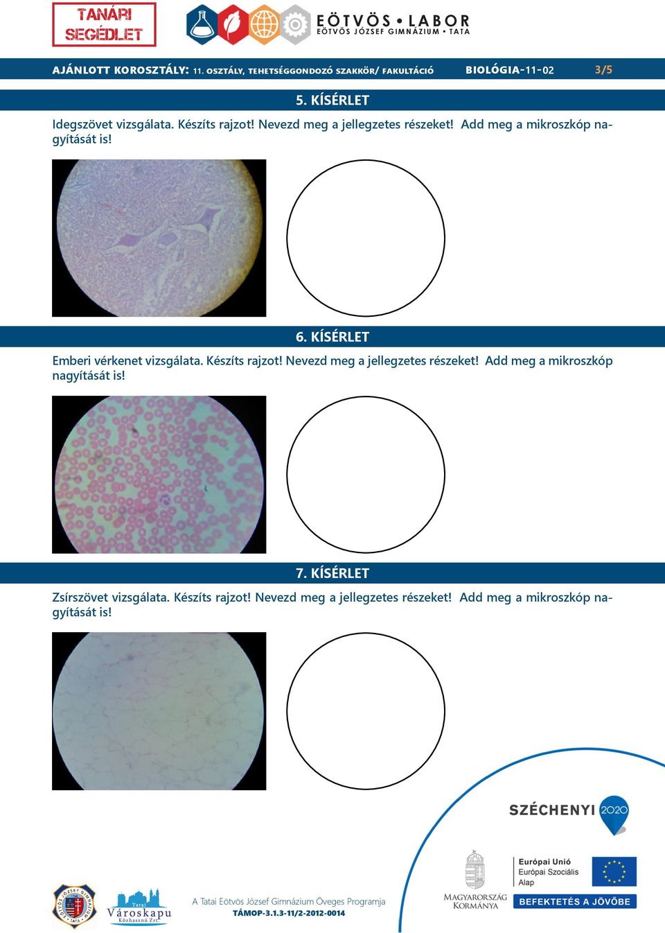 Add meg a mikroszkóp nagyítását is! 6. KÍSÉRLET Emberi vérkenet vizsgálata. Készíts rajzot!