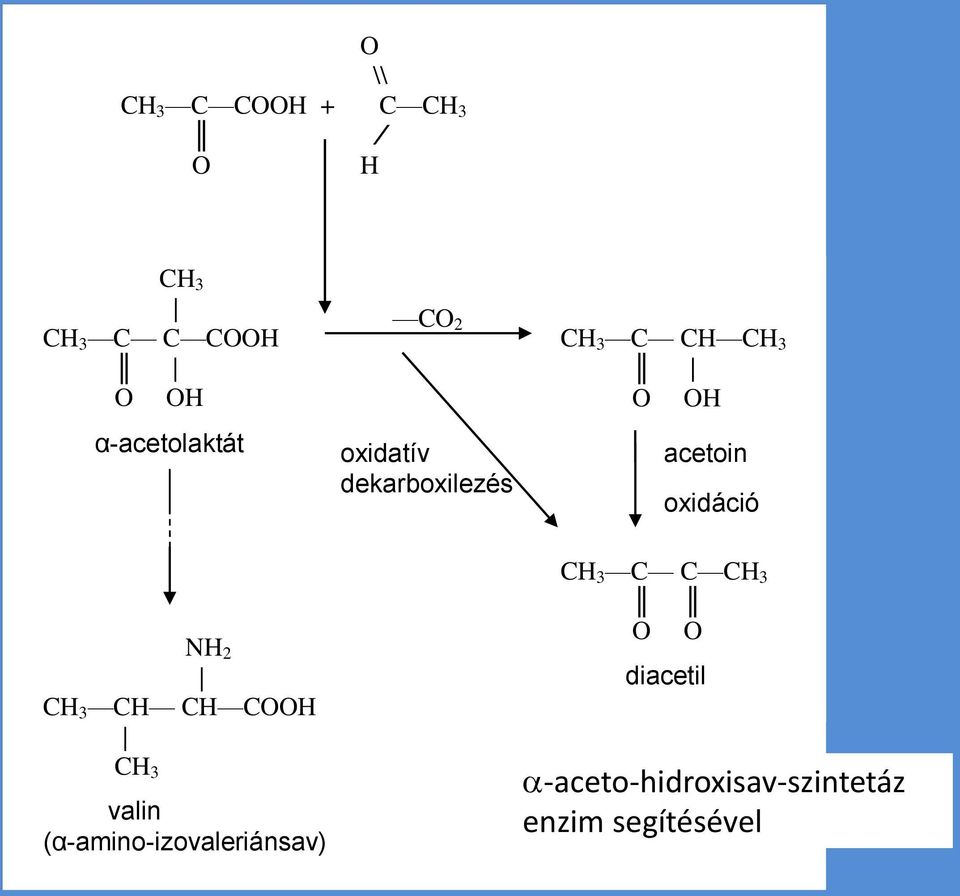 acetoin oxidáció NH 2 CH 3 CH CH COOH CH 3 valin