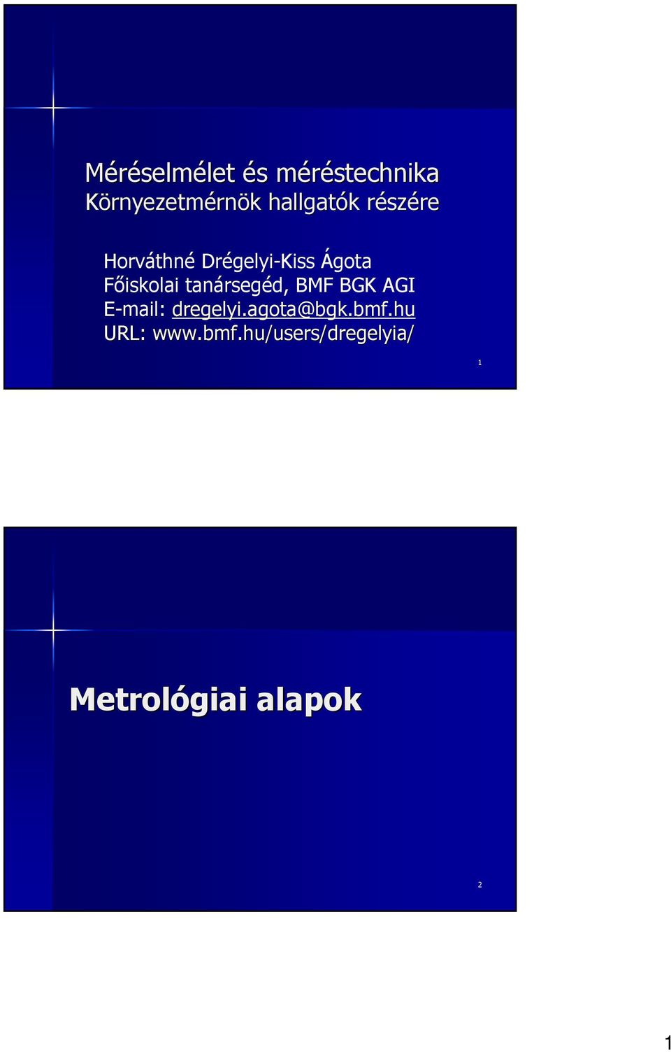 Fıiskolai tanársegéd, BMF BGK AGI E-mail: dregelyi.