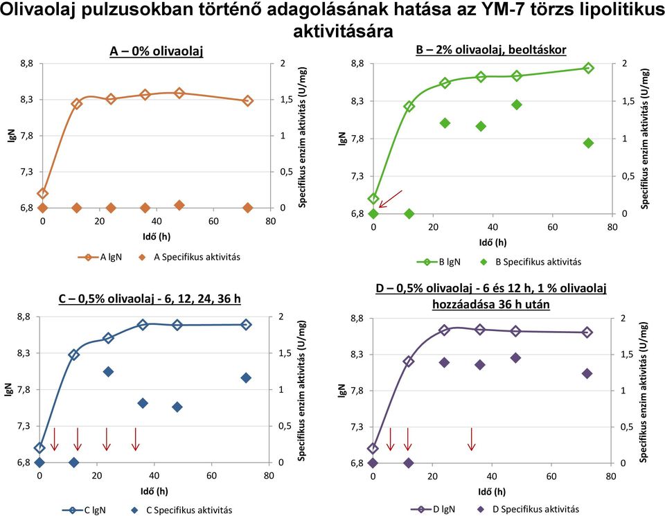 B lgn B Specifikus aktivitás C,5% olivaolaj - 6,, 4, 36 h D,5% olivaolaj - 6 és h, % olivaolaj hozzáadása 36