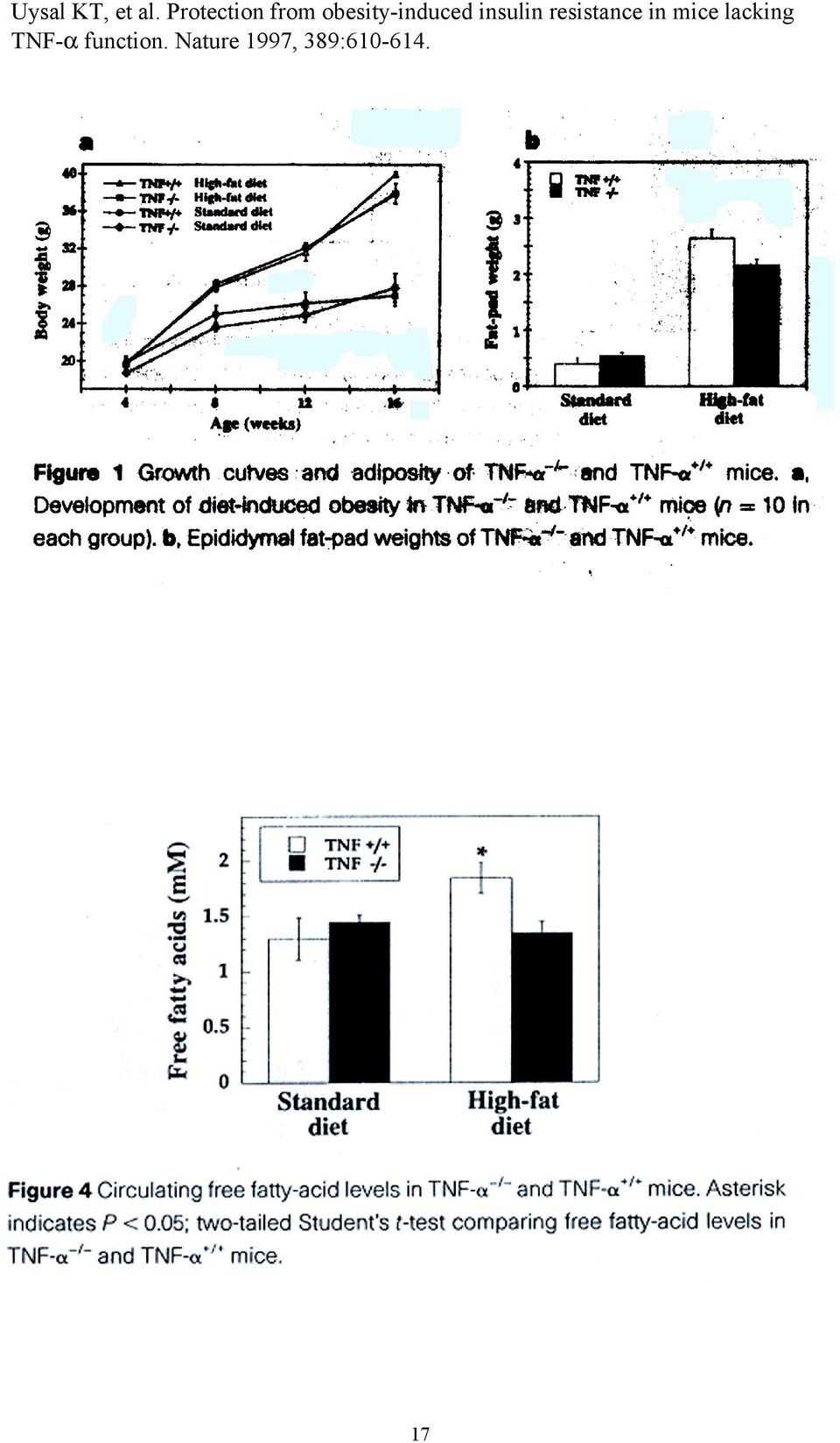 insulin resistance in mice