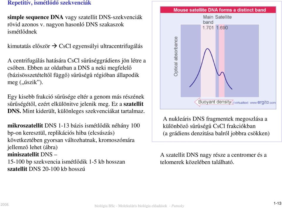 Ebben az oldatban a DNS a neki megfelelő (bázisösszetételtől függő) sűrűségű régióban állapodik meg ( úszik ).