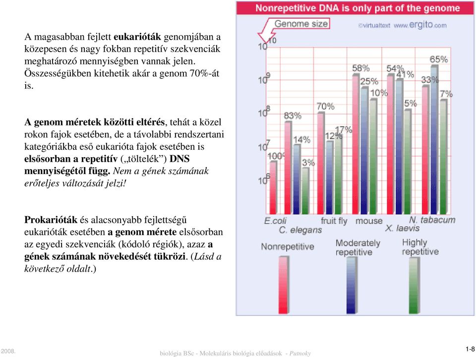 A genom méretek közötti eltérés, tehát a közel rokon fajok esetében, de a távolabbi rendszertani kategóriákba eső eukarióta fajok esetében is elsősorban a