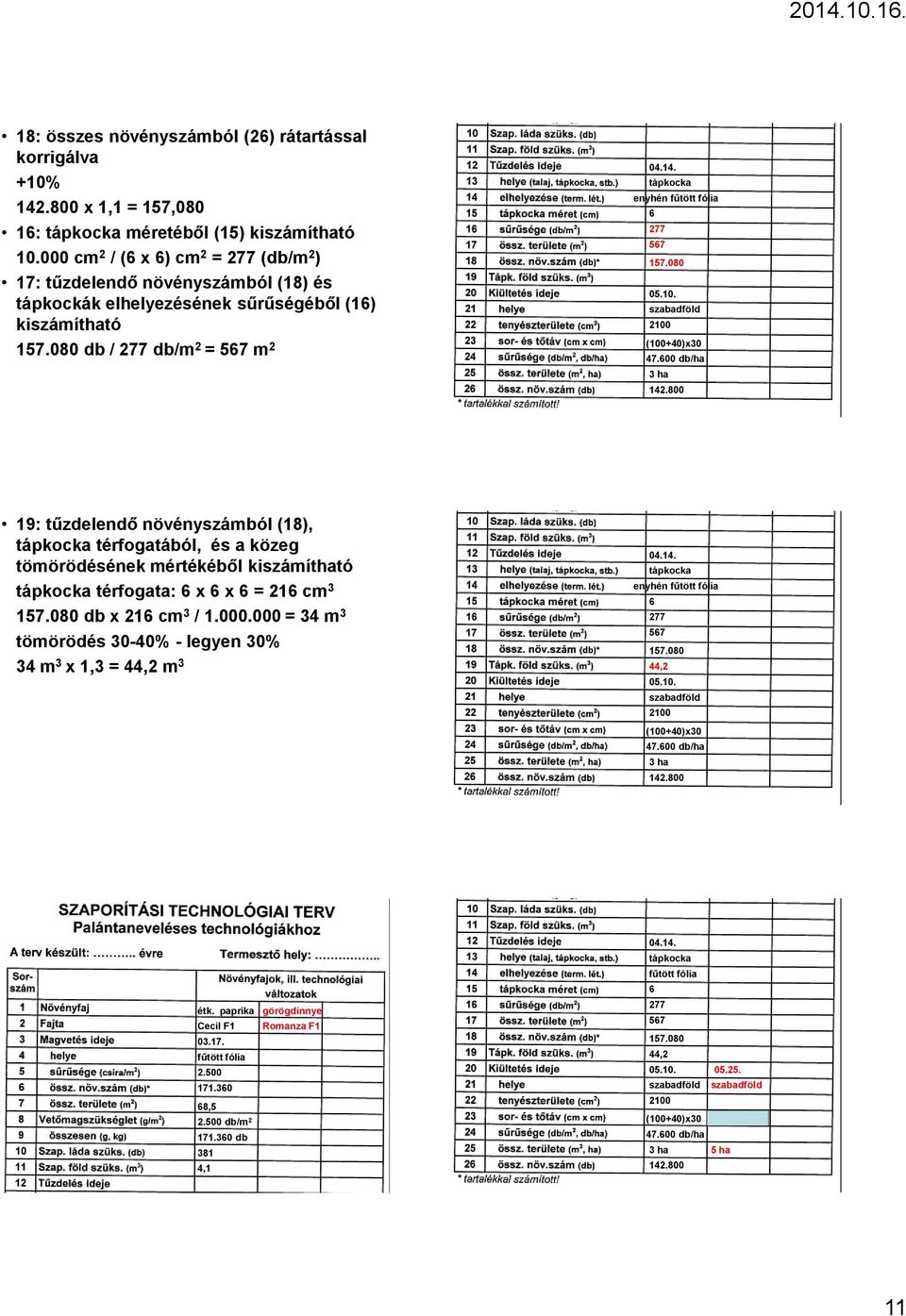 szabadföld 2100 (100+40)x30 47.00 db/ha 3 ha 19: tűzdelendő növényszámból (18), térfogatából, és a közeg tömörödésének mértékéből kiszámítható térfogata: x x = 21 cm 3 157.080 db x 21 cm 3 / 1.