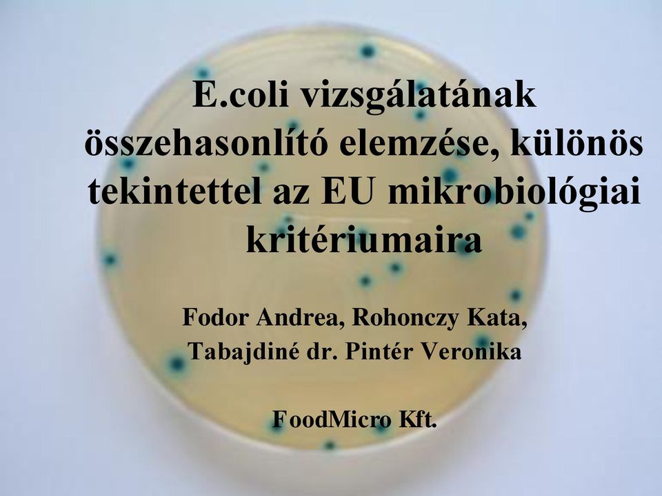 mikrobiológiai kritériumaira Fodor Andrea,