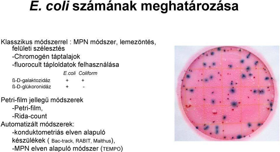 coli Coliform ß-D-galaktozidáz + + ß-D-glükoronidáz + - Petri-film jellegű módszerek -Petri-film,