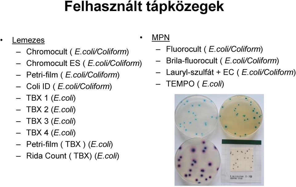 coli) TBX 3 (E.coli) TBX 4 (E.coli) Petri-film ( TBX ) (E.coli) Rida Count ( TBX) (E.
