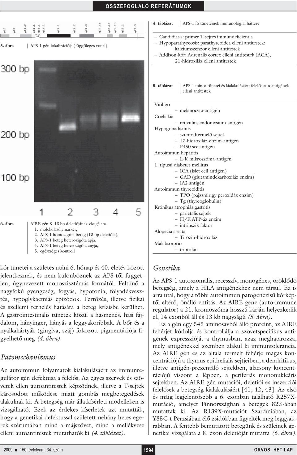 Adrenalis cortex elleni antitestek (ACA), 21-hidroxiláz elleni antitestek 5. táblázat APS-1 minor tünetei és kialakulásáért felelős autoantigének elleni antitestek 6. ábra AIRE gén 8.