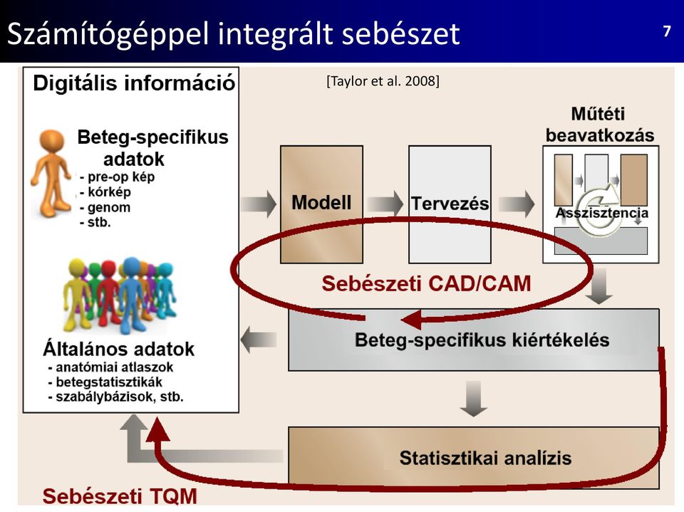 sebészet 7