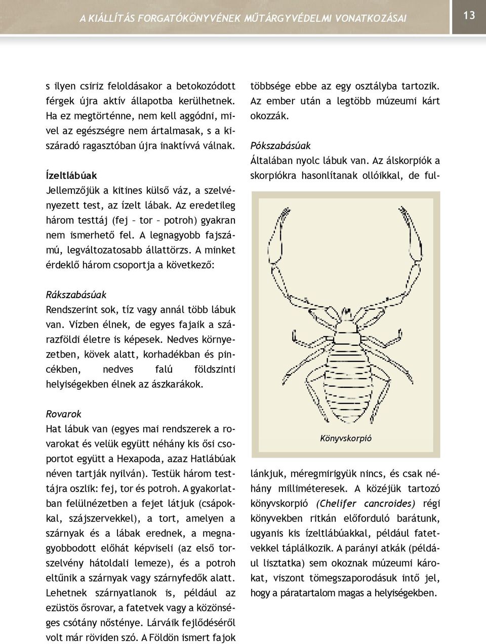 Ízeltlábúak Jellemzőjük a kitines külső váz, a szelvényezett test, az ízelt lábak. Az eredetileg három testtáj (fej tor potroh) gyakran nem ismerhető fel.